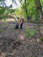 Сотрудники администрации Кировского района и других структурный подразделений провели День чистоты.