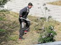 Сотрудники администрации Кировского района и других структурный подразделений провели День чистоты.