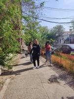 Сотрудники администрации Кировского района и других структурный подразделений провели День чистоты.