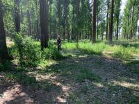 Проведение оперативно-профилактической операции «Мак-2022»