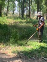 Проведение оперативно-профилактической операции «Мак-2022»