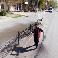 В Астрахани высадили 1,5 тысячи деревьев