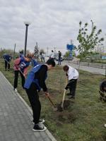 В парке им. В.И. Ленина проведена акция "Дерево Победы"