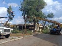 Опиловка деревьев позволила открыть фасады Красной Набережной 