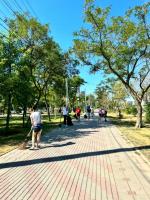 В Астрахани проводят комплексную уборку променадов