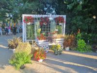 В парке «Аркадия» открылся фестиваль цветов «Цветочная симфония»