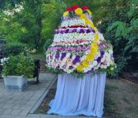 В парке «Аркадия» открылся фестиваль цветов «Цветочная симфония»