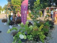 В парке «Аркадия» открылся фестиваль цветов «Цветочная симфония»