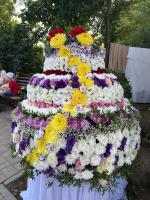 В парке «Аркадия» открылся фестиваль цветов «Цветочная симфония»