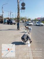 В Астрахани на центральной набережной высадили сирень 