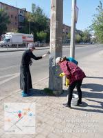 В Астрахани на центральной набережной высадили сирень 