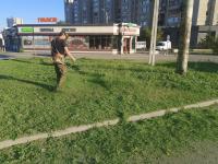 В Астрахани скосили свыше 350 гектаров сорной растительности и камыша 