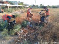 За два летних месяца в Астрахани зачистили свыше тысячи нелегальных свалок