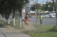 В Советском районе с начала года скосили более 100 гектаров сорной растительности