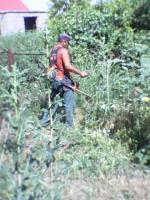Проведен очередной рейд по выявлению и уничтожению дикорастущих наркосодержащих растений