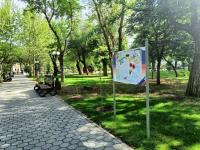 В Братском саду открылась фотовыставка «Подвига предков достойны»