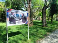 В Братском саду открылась фотовыставка «Подвига предков достойны»