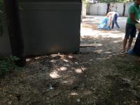 28.08.2015 г. в Ленинском районе на ул. Комсомольская Набережная прошел "День чистоты", в котором приняли участие сотрудники администрации Ленинского района г. Астрахани.