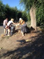 Общегородское мероприятие "День чистоты".