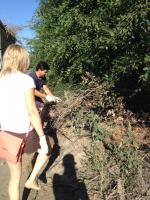 Общегородское мероприятие "День чистоты".