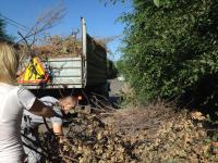 Общегородское мероприятие "День чистоты".