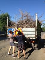 Общегородское мероприятие "День чистоты".