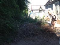 Общегородское мероприятие "День чистоты".