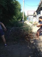 Общегородское мероприятие "День чистоты".