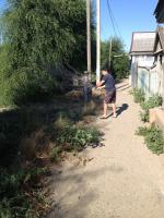 Общегородское мероприятие "День чистоты".