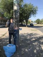 День чистоты