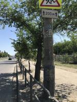 День чистоты