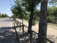 День чистоты