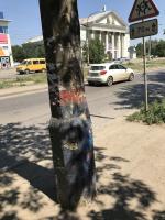 День чистоты