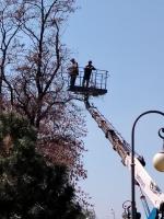 Площадь Ленина готовят к проведению праздничных мероприятий