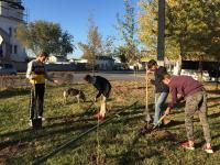 На территории района проведены мероприятия по благоустройству и озеленению района «Красивый район руками жителей»