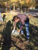 На территории района проведены мероприятия по благоустройству и озеленению района «Красивый район руками жителей»