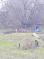 ул.Наб. Тимирязева