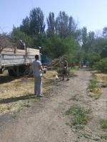 20.06.2015 г. в Ленинском районе прошел "День чистоты" в парке по ул. Даргомыжского, в котором приняли участие сотрудники администрации Ленинского района г. Астрахани.