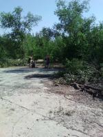 26.06.2015 г. в Ленинском районе прошел "День чистоты" в парке по ул. Даргомыжского, в котором приняли участие сотрудники администрации Ленинского района г. Астрахани.