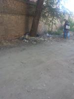 28.08.2015 г. в Ленинском районе на ул. Комсомольская Набережная прошел "День чистоты", в котором приняли участие сотрудники администрации Ленинского района г. Астрахани.