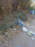 28.08.2015 г. в Ленинском районе на ул. Комсомольская Набережная прошел "День чистоты", в котором приняли участие сотрудники администрации Ленинского района г. Астрахани.