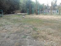 "День чистоты" по адресу: ул. Савушкина, д. 50-52