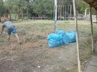 "День чистоты" по адресу: ул. Савушкина, д. 50-52