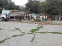 "День чистоты" по адресу: ул. Савушкина, д. 50-52