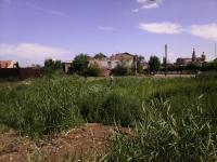 Общегородская акция "День чистоты"