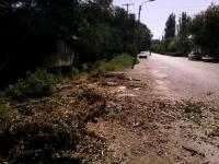 День чистоты.