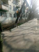 12.04.2018 сотрудники управляющей компании «Надежда» приняли активное участие в работе по благоустройству придомовой территории.