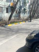 12.04.2018 сотрудники управляющей компании «Надежда» приняли активное участие в работе по благоустройству придомовой территории.