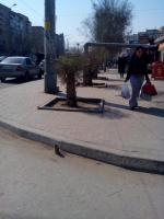 Ликвидация несанкционированной торговли