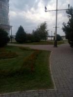 Рейдовые мероприятия в целях пресечения деятельности несанкционированной торговли